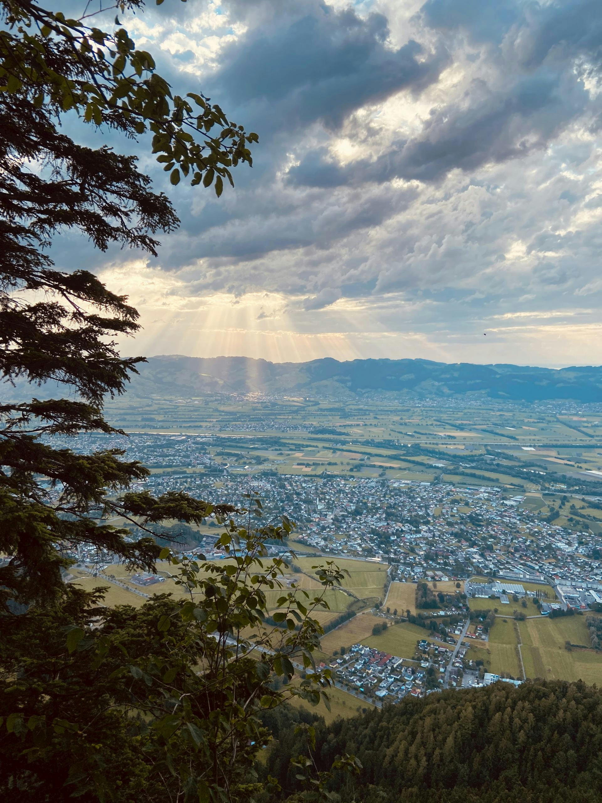 Aussicht auf Hohenems